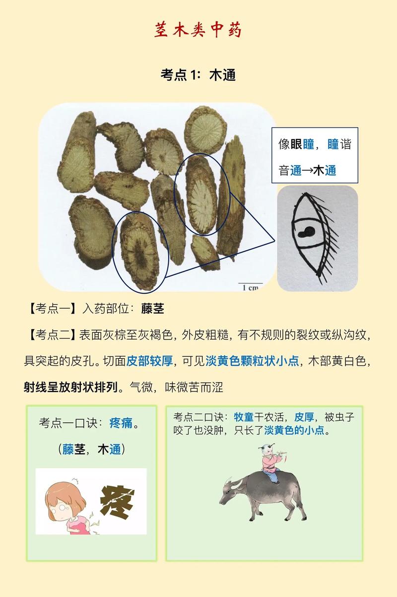 梵瑞印度代购希爱力是真的吗？避坑指南与正品鉴别全攻略